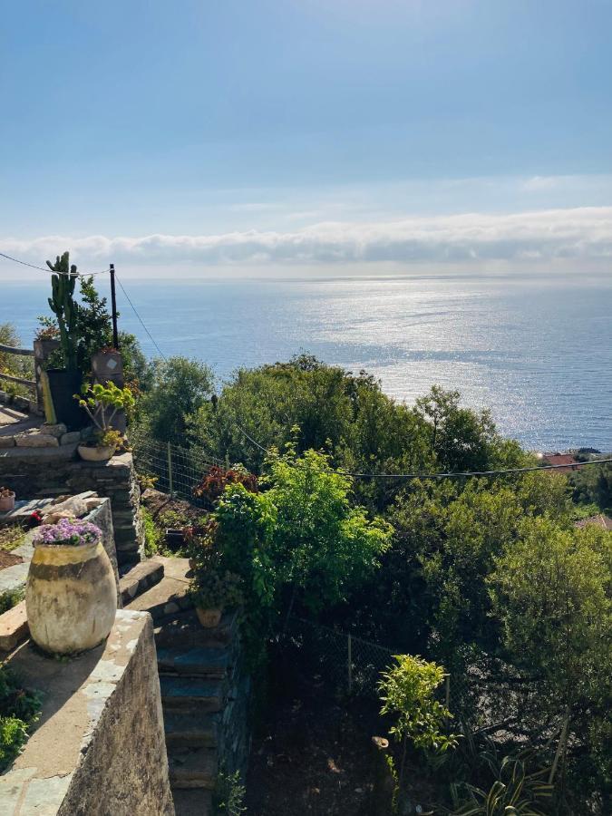 Maison Mediterraneo - Rez De Villa, Vue Imprenable Sur La Mer Pietranera Exteriör bild